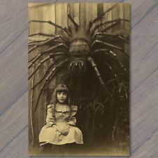 POSTCARD: Unreal Creepy Weird Eerie Spider Young Girl Arachnid Minion 🕷️💀 V picture