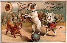 J P Coats Anthropomorphic Dressed Dog Circus Crowd Balancing Ball Whip A HQV1 picture