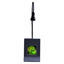Brain/Skull 3D Photopoloymer  2-Channel 3D Hologram Picture - Lighted Desk Stand picture