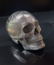 Hand Cast Fine Pewter Human Skull Anatomically Accurate Radiology / Radiography  picture