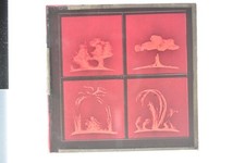 Four Panels Red Scientific Diagrams Solar Flares? Magic Lantern Slide c1900s picture