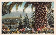 Los Angeles Pasadena California Orange Groves Mt Wilson Winter Vtg Postcard A37 picture