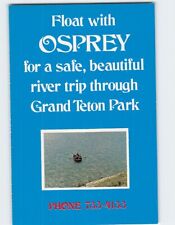 Postcard Osprey Grand Teton Park Moose Wyoming USA picture