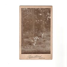 Antique Carte De Visite Card Deer Fawns Louis Frank Berne Photograph Atelier picture