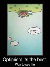 Optimism best life Turtle Funny High Quality Metal 2.25x4 Fridge magnet 8634 picture