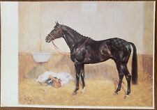 Peloponnes Thoroughbred Race Horse Art Postcard Klaus Philipp Artist picture