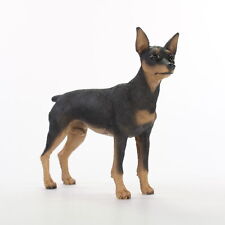 Miniature Pinscher Figurine Hand Painted Collectible Statue Black picture