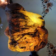 PETRIFIED FOSSIL PALM TREE WOOD INCASED IN HEAVEY QUARTZ SUPER RARE EXAMPLE 3.15 picture