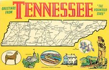 Tennessee TN Volunteer State Map Greetings Postcard picture