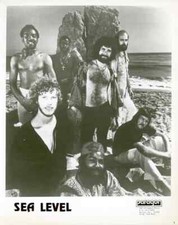 SEA LEVEL BAND PUIBLICITY PHOTO 8 X 10 WITH WHITE BORDER picture