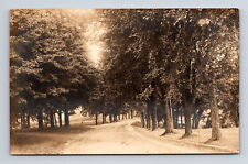 RPPC Tree Lined Street Dirt Road Real Photo Postcard picture