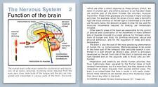 Function Of Brain #2 Nervous System Home Medical Guide 1975-8 Hamlyn Card picture