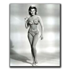 Nancy Kovack Celebrities Vintage Retro Photo Glossy Big Size 8X10in L073 picture