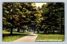 Holland MI-Michigan, Walk Way on Hope College Campus, Vintage c1910 Postcard picture