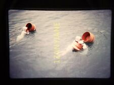IL16 35MM ORIGINAL SLIDE Three Swimmers in Gear at Buoys in Water picture