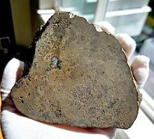 320g Porous Eucrite Melt Breccia - Meteorite Jikharra 001, HED, FULL Slice, COA picture