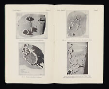 THE MOON Illustrated astronomy pamphlets  RARE picture