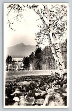 c1951 RPPC Mount Chocorua in New Hampshire White Birch Tree VNTG Postcard 1412 picture