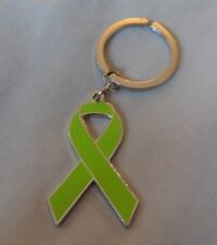 ***NEW***  Glaucoma Awareness enamel green keyring. Charity, badge picture