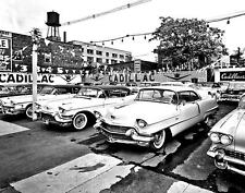 1950s CADILLACS on CAR LOT Photo  (205-P) picture