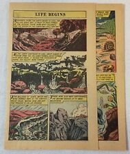 1959 four page cartoon story ~ BEGINNING OF LIFE ON EARTH picture