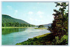 c1960's Edge of the Allegheny National Forest Allegheny River PA Postcard picture