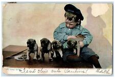 c1910's Little Boy And Puppies Our Pets Somerville New Jersey NJ Tuck's Postcard picture
