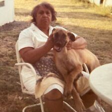 1T Photograph 1967 Old Cute African American Woman Pets Beloved Dog On Lap picture
