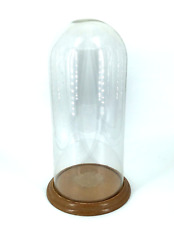 vtg Glass Display Dome Cloche with Wood Base 11 1/4