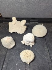 Lot Of 5 Specimens Brain Coral 2.5-5" Vintage Ocean Finds Aquarium Beach 3+ Lbs picture