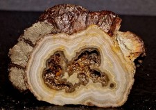 52g Agatized Stromatolite with Druzy Quartz & Marcasite/Hematite picture