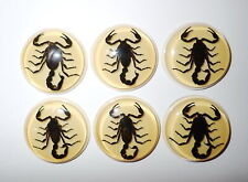 Insect Cabochon Black Scorpion 38.5 mm Round inner 35 mm Amber White 10 pcs Lot picture