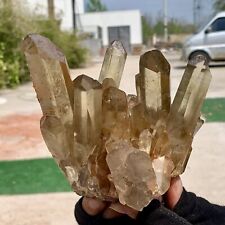 1.75LB Natural Citrine cluster mineral specimen quartz crystal healing picture