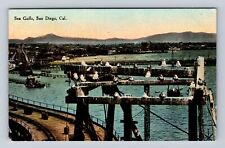 San Diego CA-California, Sea Gulls, Bay And Dock Scene, Antique Vintage Postcard picture