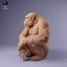 Breyer size artist resin companion animal figurine male chimpanzee sitting picture