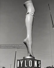 Vintage 1949 Photo Two Ton Model Leg in Nylons - Advertising Sign Odd Strange picture