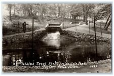 c1910's Albino Trout Pool Interstate Park Taylors Falls MN RPPC Photo Postcard picture