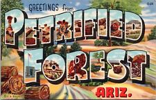Large Letter Greetings, Petrified Forest, Arizona - Vintage Linen Postcard- 1941 picture