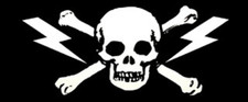 Skull & Bones with Lightning Bolts Sticker picture