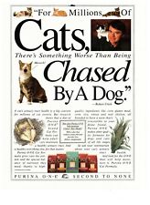 Purina One Cats Chased By a Dog Nutrition Vintage 1995 Print Ad picture