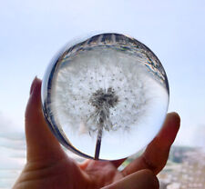 Dandelion Sphere, Real Dandelion in Crystal Glass Ball, Dandelion Crystal Glass picture