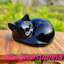 Natural Obsidian Sleeping Cat Carved Quartz Crystal Skull Reiki Healing 1pc picture