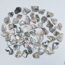 50 Polished Abalone Pieces for Jewelry & Art ~Beautiful picture