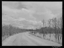Melrose,Natchitoches Parish,Louisiana,Farm Security Administration,1940,FSA,20 picture