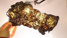 308g Slice meteorites, Rare slices of Kenyan Pallasite olive meteorite B2690 picture