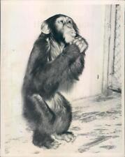 1938 Press Photo Cleveland OH Brookside Zoo Chimpanzee Sammy - ner14755 picture