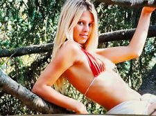 2000s Young Pretty Blonde Woman Bikini Lying on Tree Vintage Photo picture