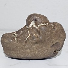 Lake Michigan Septarian Lightning Stone 1 Lb 5.3 Oz picture