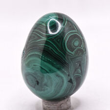 48mm Green Malachite Egg Banded Natural Crystal Sparkling Mineral Stone - Congo picture