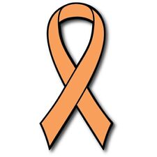 Orange Leukemia and Kidney Cancer Awareness Ribbon Car Magnet Decal Heavy Duty picture